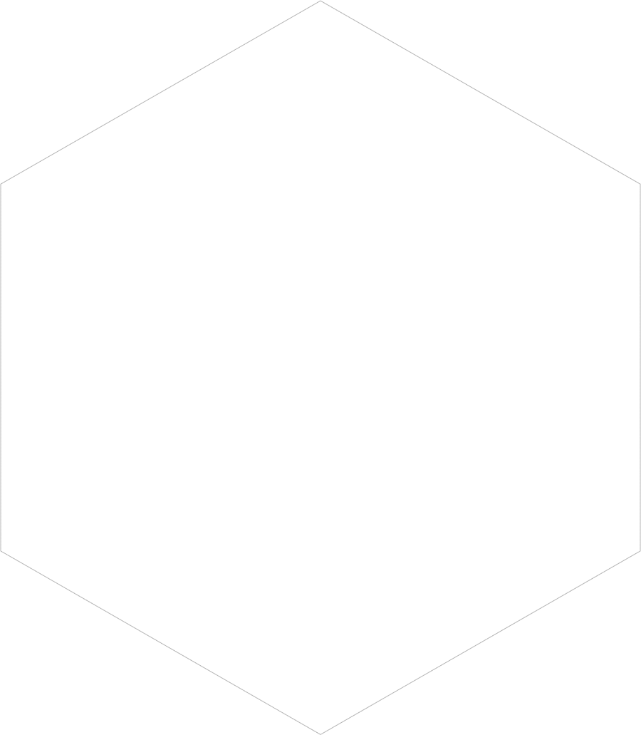 icon-hexagon-outer